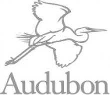 Audubon