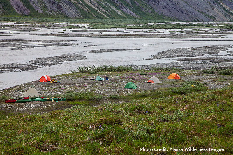 Alaska Wilderness League Camp.jpg